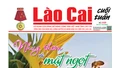 Báo Lào Cai Cuối tuần số 1029 ra ngày 15/3/2025