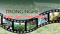 Hướng tới giá trị bền vững trong nghề trồng dâu, nuôi tằm