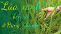 “Lúa xanh” “bén rễ” ở Hưng Khánh