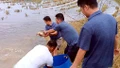 Về Khánh Yên xem thả cá chép vụ đông