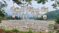 [Ảnh] Cánh đồng "đá" ở Trịnh Tường