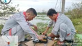 Viettel Lào Cai tập trung khắc phục sự cố viễn thông sau hoàn lưu bão số 10