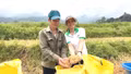 “Hạt nhân” sáng tạo trong kinh tế tập thể 