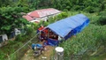 Nỗ lực ổn định cuộc sống sau thiên tai ở Ít Nộc