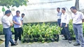 Đoàn công tác Sở Dân tộc và Tôn giáo làm việc với UBND xã Y Tý