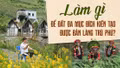 Làm gì để đất đa mục đích kiến tạo được bản làng trù phú?