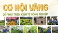 Cơ hội vàng để phát triển kinh tế nông nghiệp 