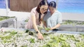 Tập huấn nhân rộng mô hình trồng dâu, nuôi tằm