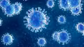 Đức ghi nhận một ca nhiễm virus Borna hiếm gặp, đặc biệt nguy hiểm