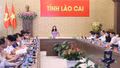 Chuẩn bị chu đáo các điều kiện để tổ chức thành công các sự kiện văn hóa, thể thao trong tháng 8 - 9/2026