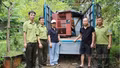 Tiếp nhận cá thể gấu ngựa do người dân tự nguyện giao nộp