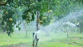 Nông dân Lào Cai trong môi trường số