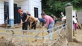 Ít Nộc vững vàng trong thiên tai