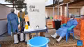 Dịch bệnh ở châu Phi: tiếp tục báo động về số người thiệt mạng do Ebola và sởi