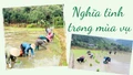 Nghĩa tình trong mùa vụ