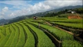 Cơ hội quảng bá du lịch Mù Cang Chải