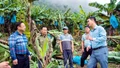 Mường Khương tập trung cao độ ứng phó bão số 11
