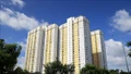 Giao chủ đầu tư dự án nhà ở xã hội không thông qua đấu thầu