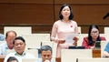 Đại biểu Nguyễn Thị Lan Anh tham gia thảo luận về Luật Nhà giáo