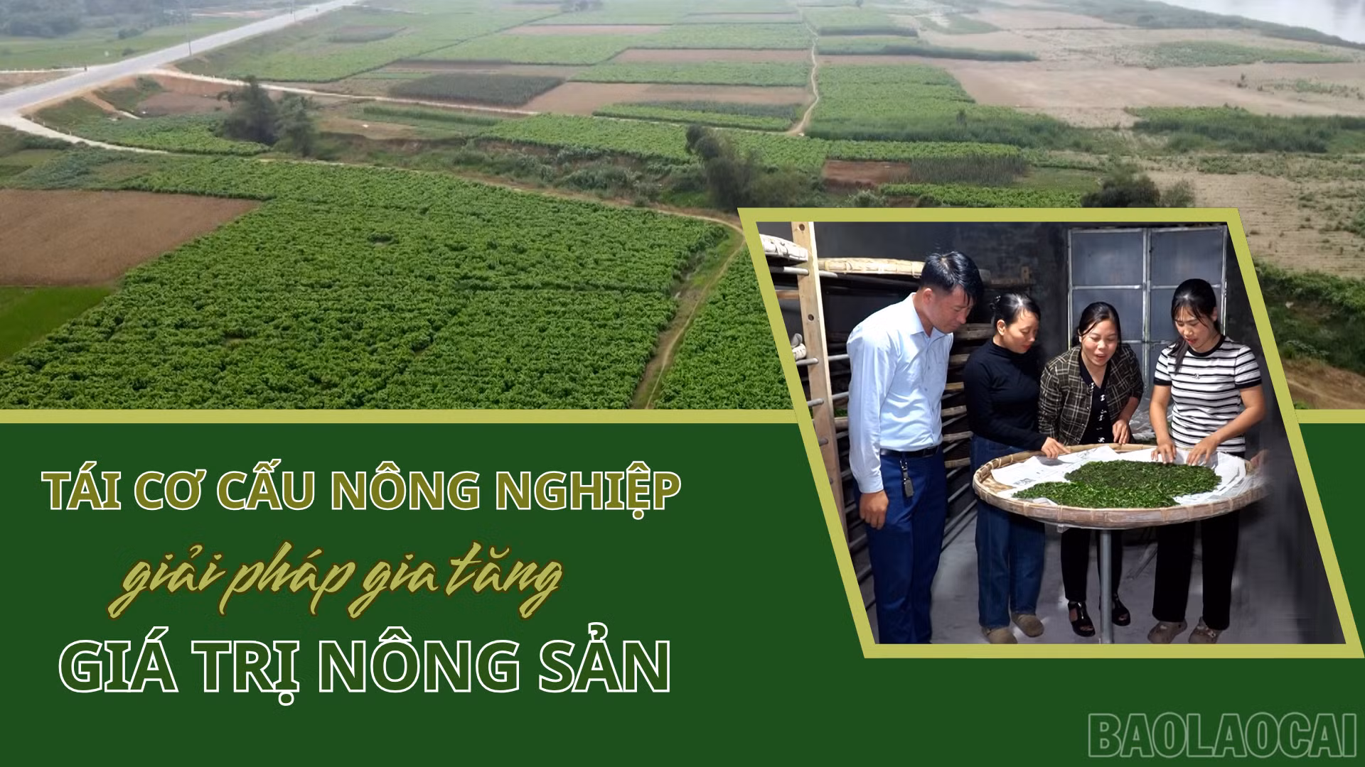 Tái cơ cấu nông nghiệp – Giải pháp gia tăng giá trị nông sản
