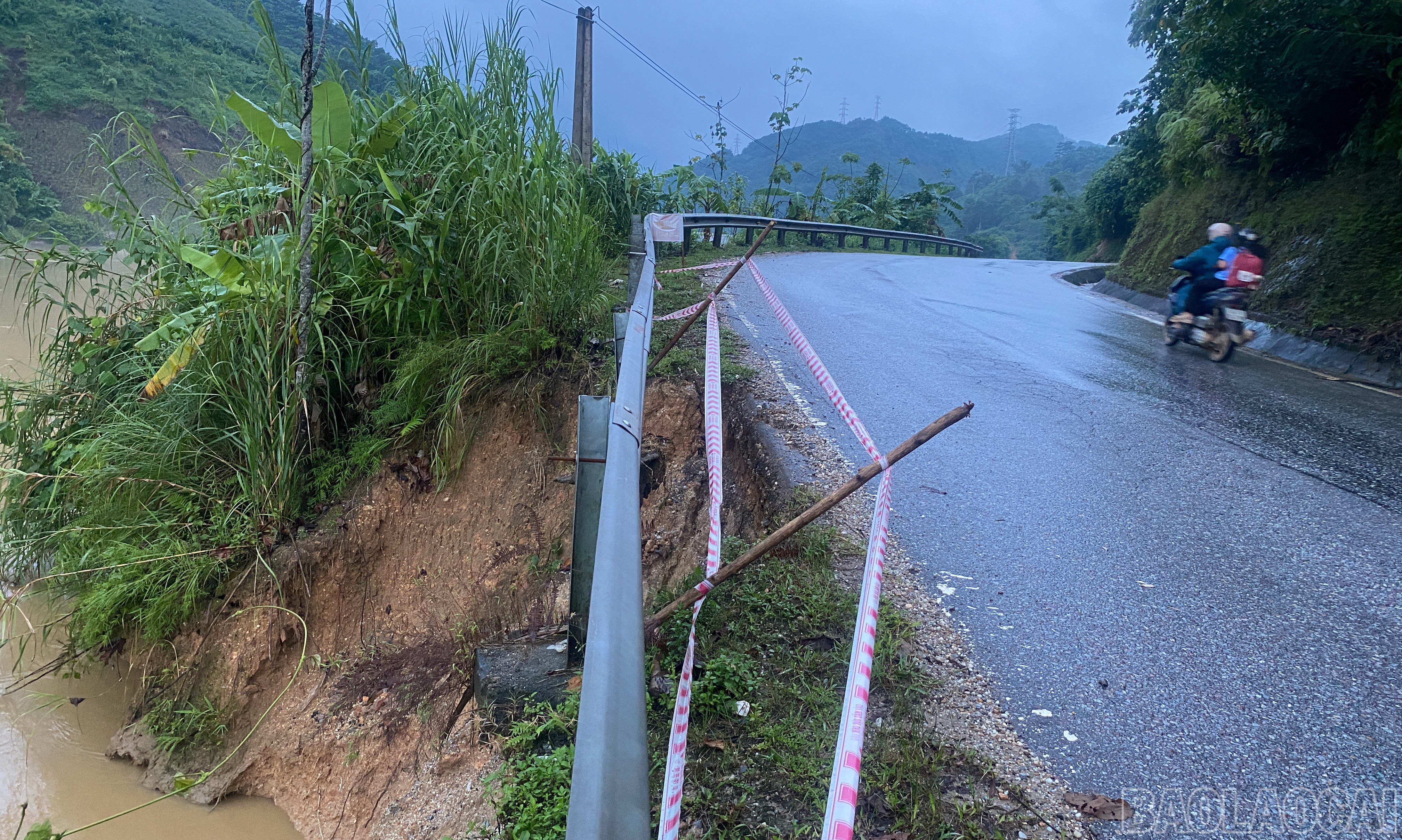 baolaocai-br_satlo-6.jpg