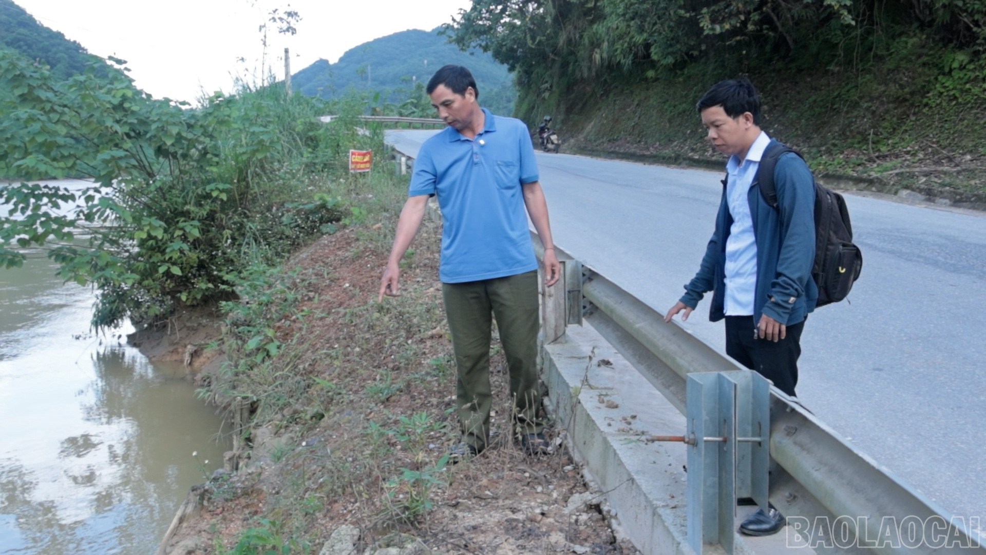 baolaocai-br_satlo-11.jpg