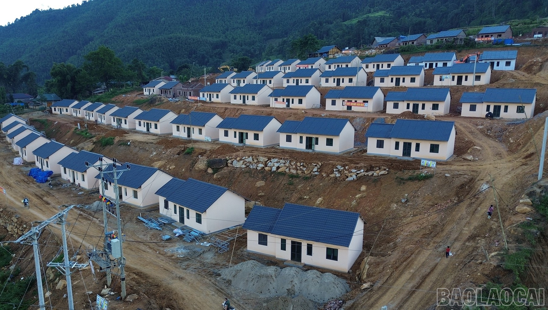 baolaocai-br_dji-0450.jpg