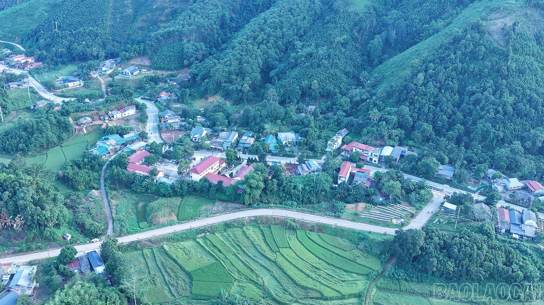 baolaocai-br_pk-1.jpg