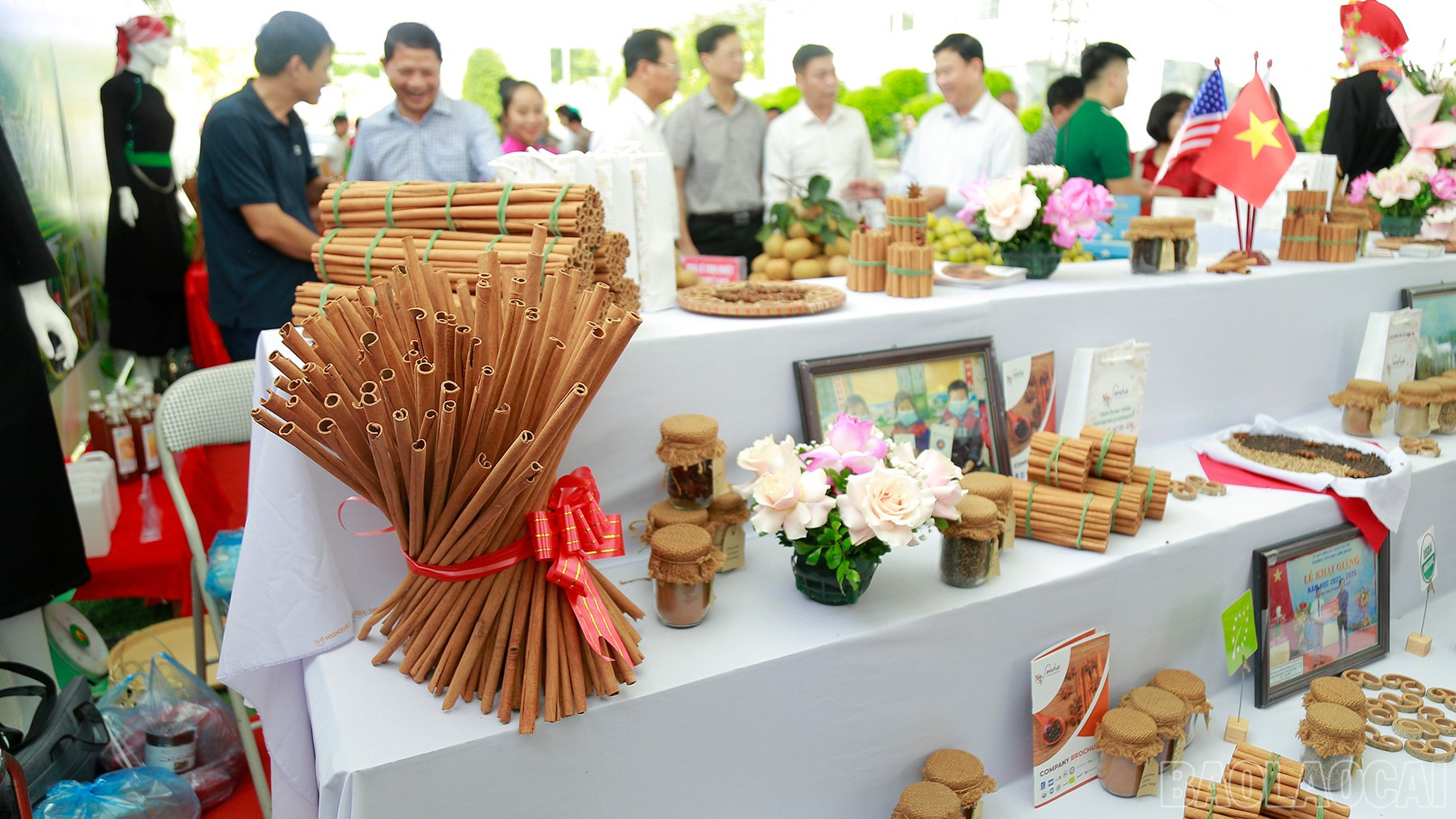 Produk kayu manis yang diproses daripada perusahaan Bao Yen. baolaocai-br_mg-0544.jpg