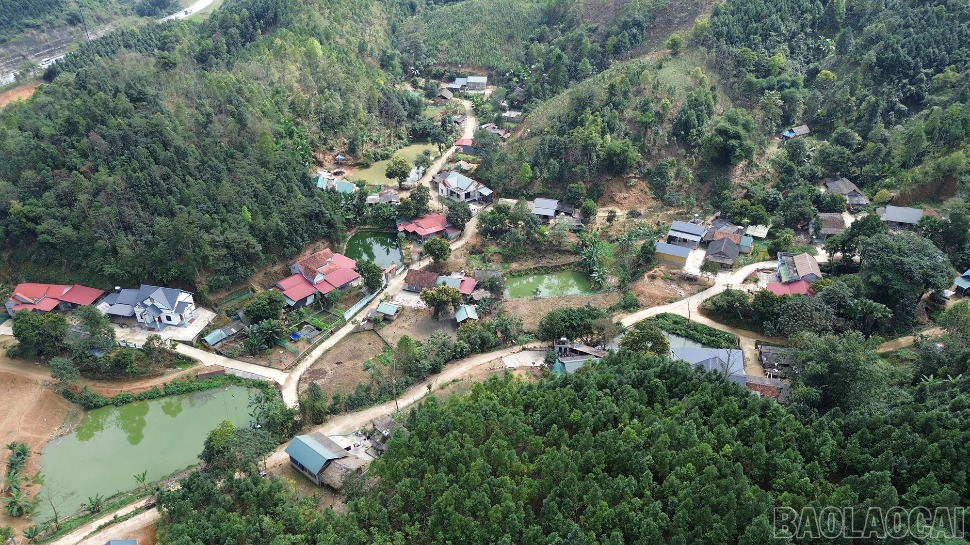baolaocai-br_dji-0227.jpg