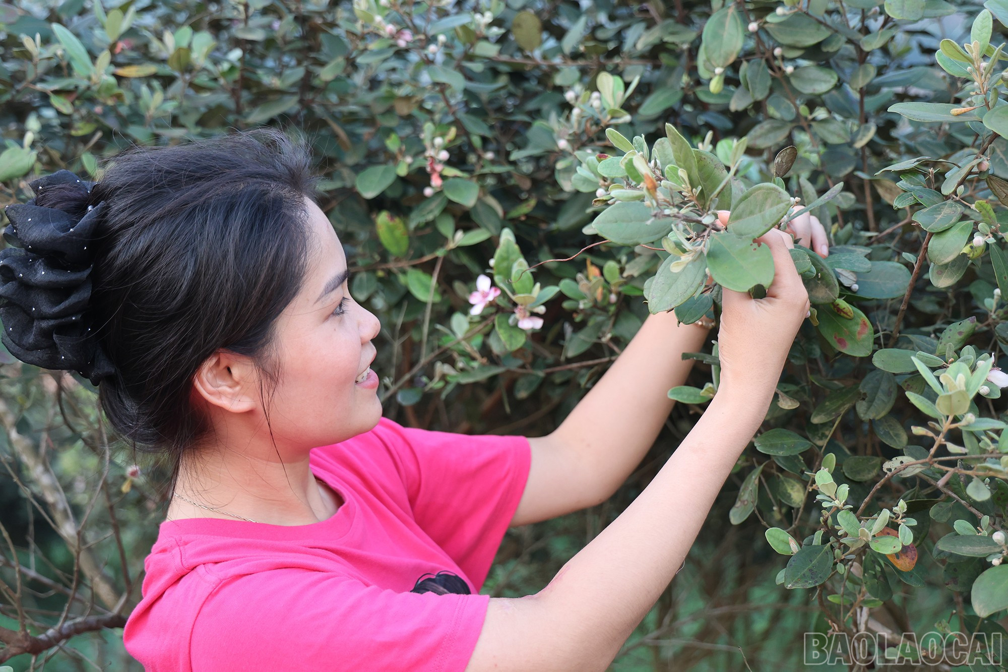 Chị Nguyễn Thị Kim - người thoát nạn trong trận lũ cuối năm trước giờ trở thành hướng dẫn viên cho du khách khi đến thăm Làng Nủ. baolaocai-br_img-1611.jpg