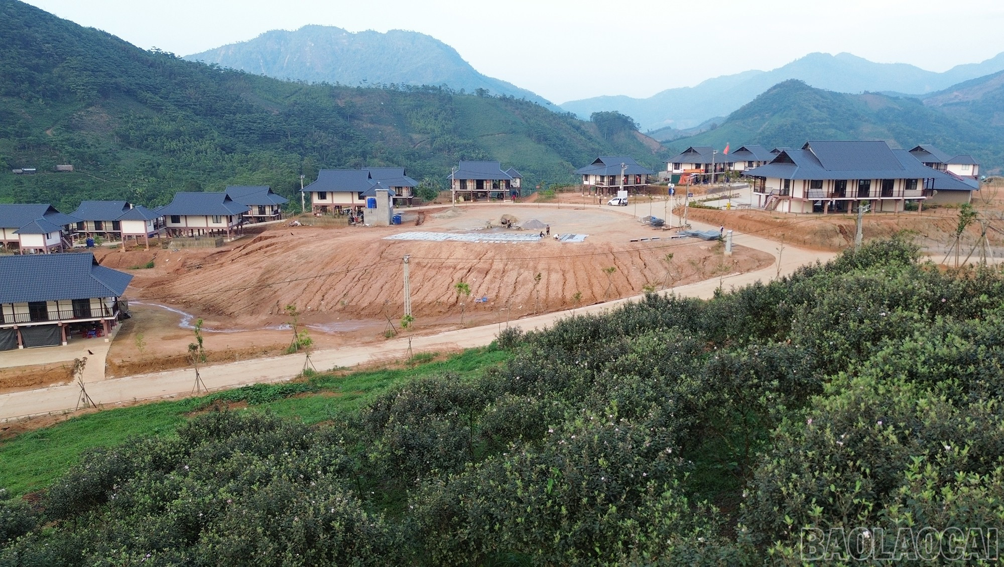 Khu tái định cư Làng Nủ được xây dựng trên khu đất trước đây là đồi hoa sim rộng lớn. baolaocai-br_dji-0923.jpg