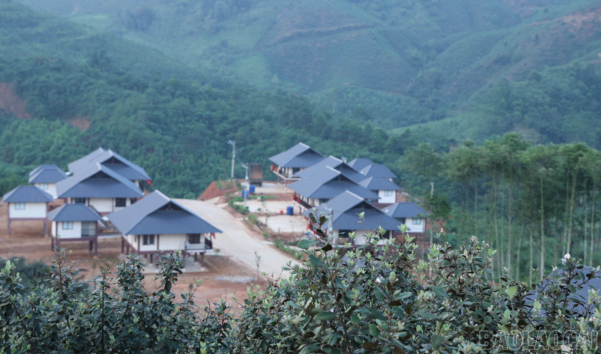 Khi quy hoạch tái định cư, đơn vị thiết kế đã cố gắng hạn chế ảnh hưởng đến diện tích cây sim tại đây. baolaocai-br_img-1596.jpg