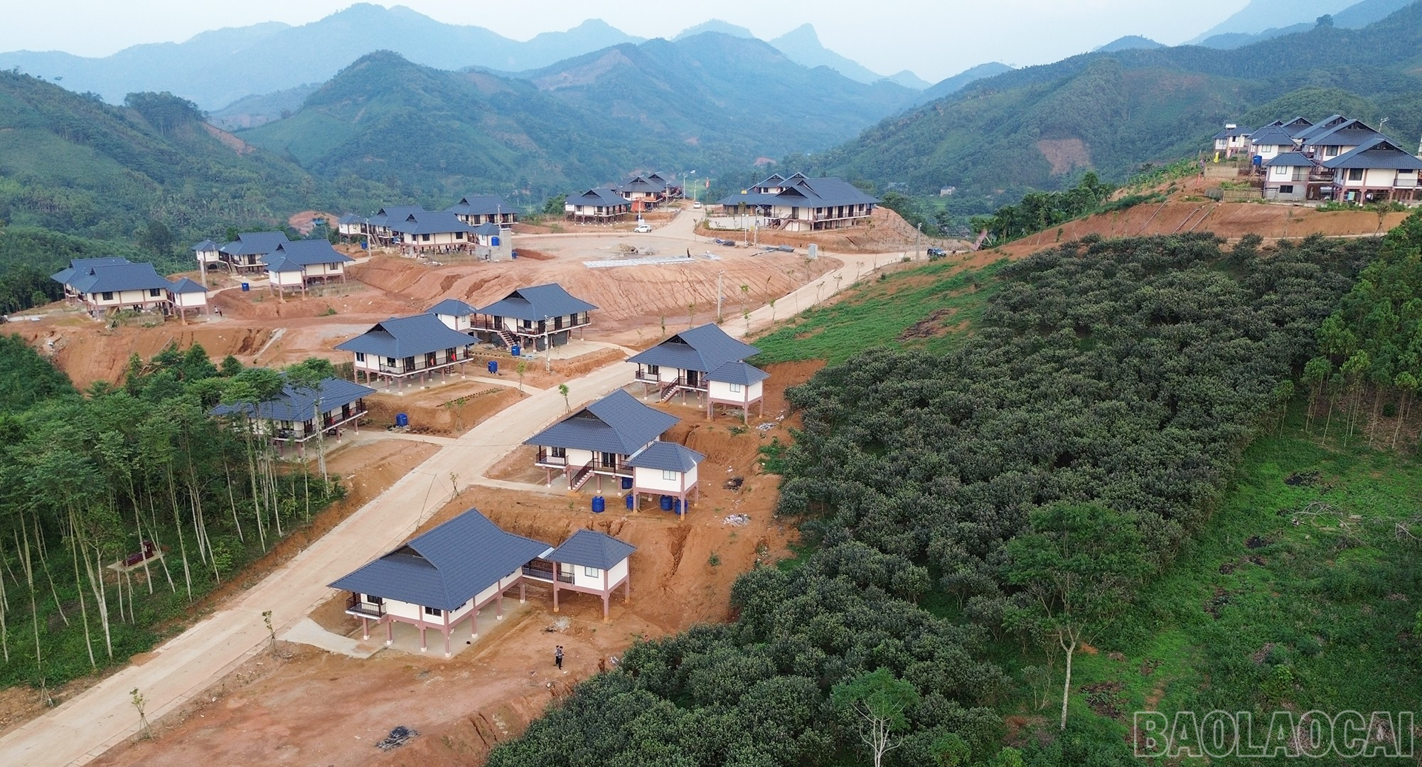 Khu tái định cư Làng Nủ yên bình bên đồi hoa sim. baolaocai-br_dji-0928.jpg