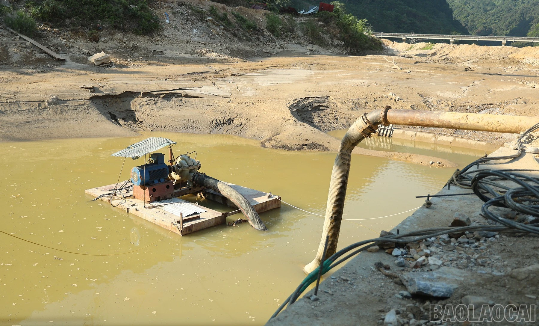 baolaocai-br_img-1216.jpg