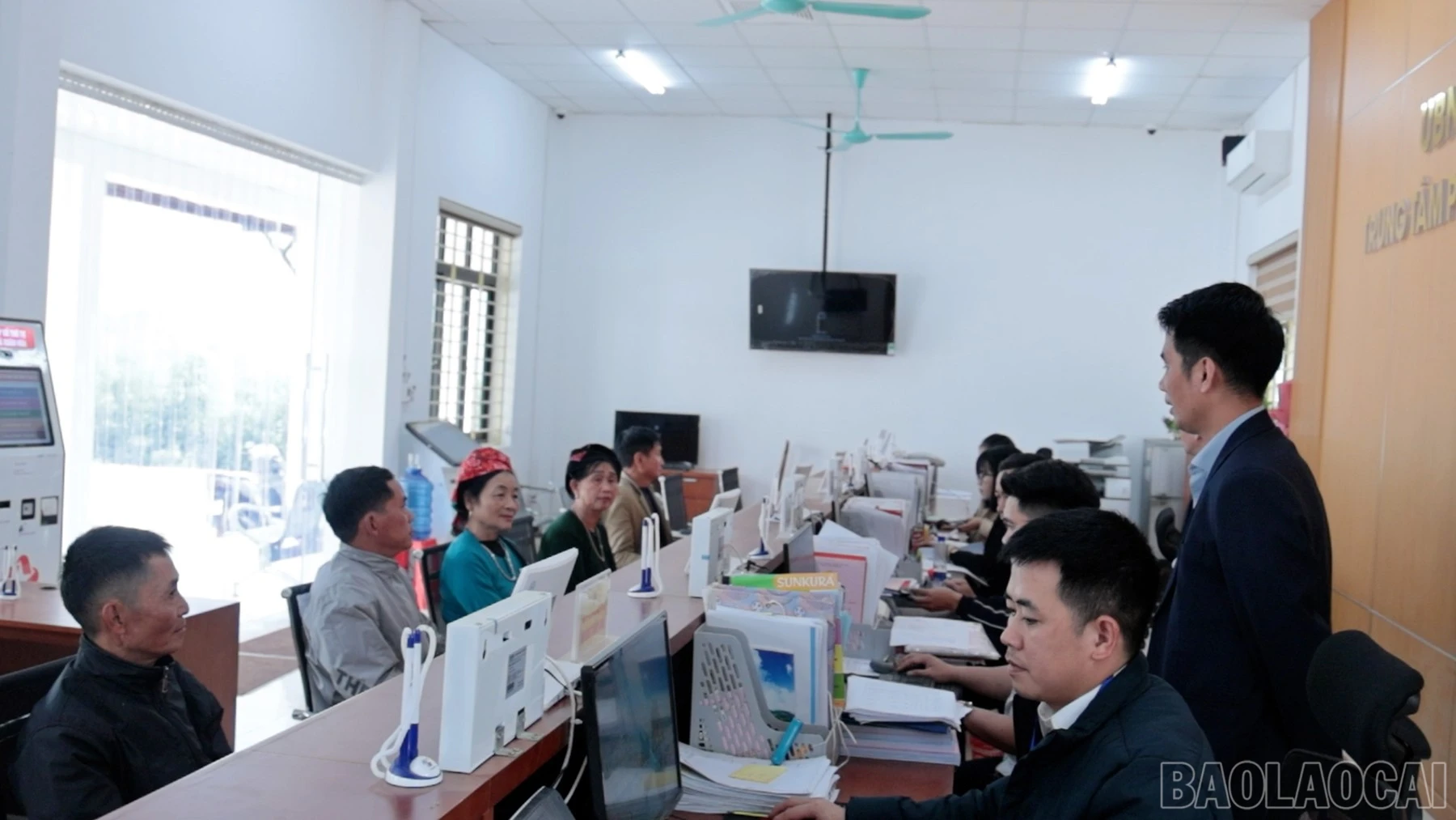 baolaocai-br_pva-3.jpg