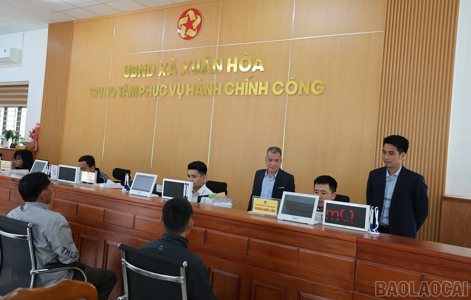 baolaocai-br_pva-1.jpg