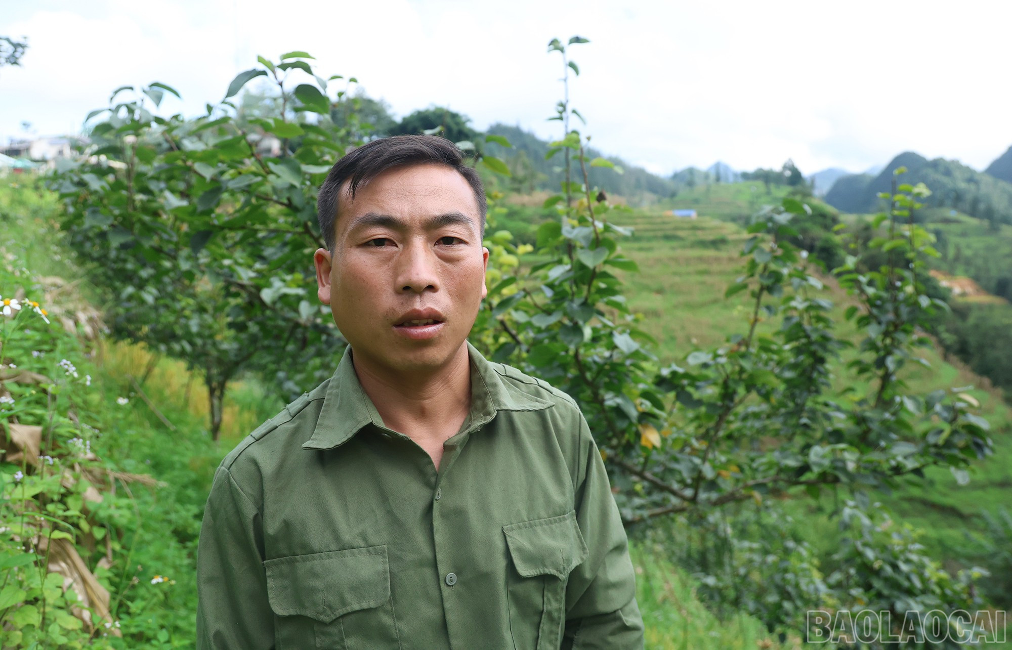 Anh Giàng Văn Lẻng, thôn Máo Chóa Sử, xã Pha Long. baolaocai-br_giang-van-leng-thon-mao-chao-su.jpg