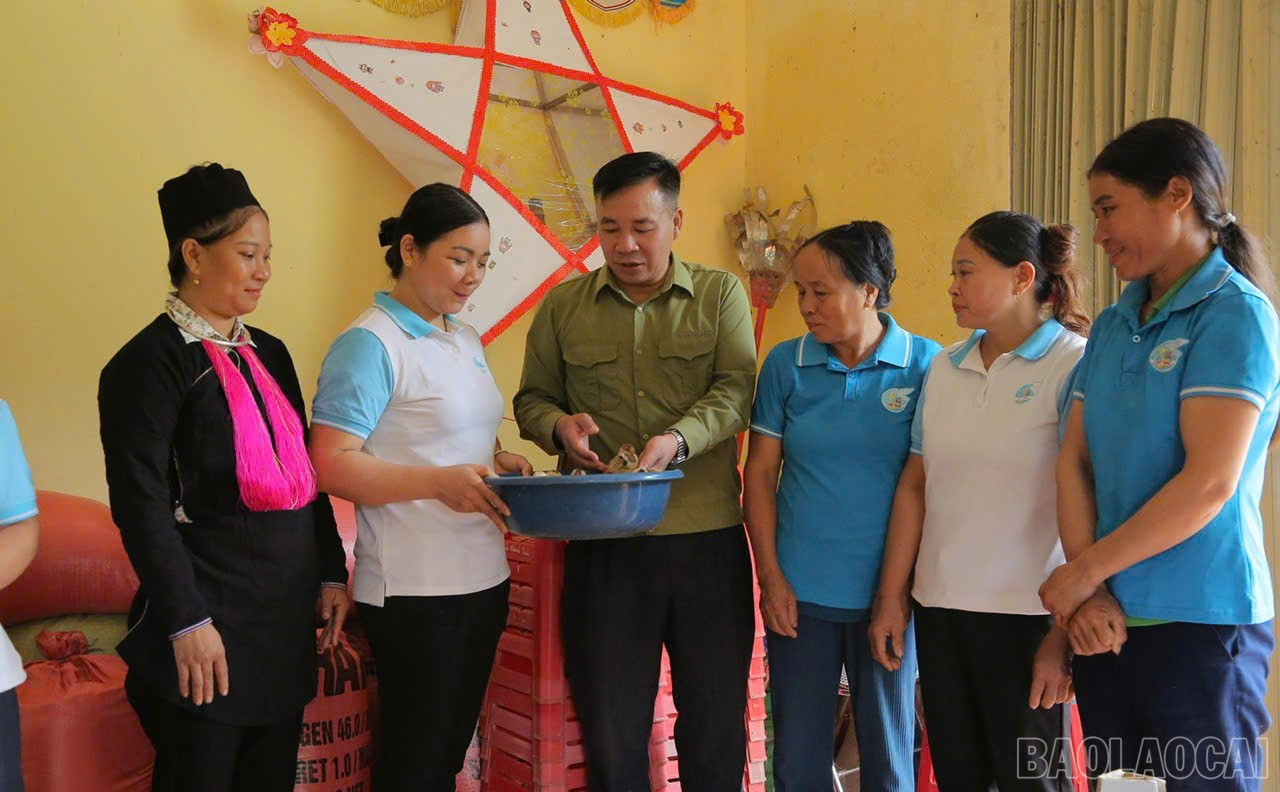 Sørge for levebrød til kvinnelige medlemmer. baolaocai-br_pnpk-11.jpg