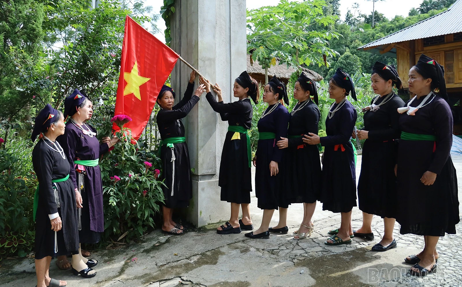 baolaocai-br_img-9350.jpg