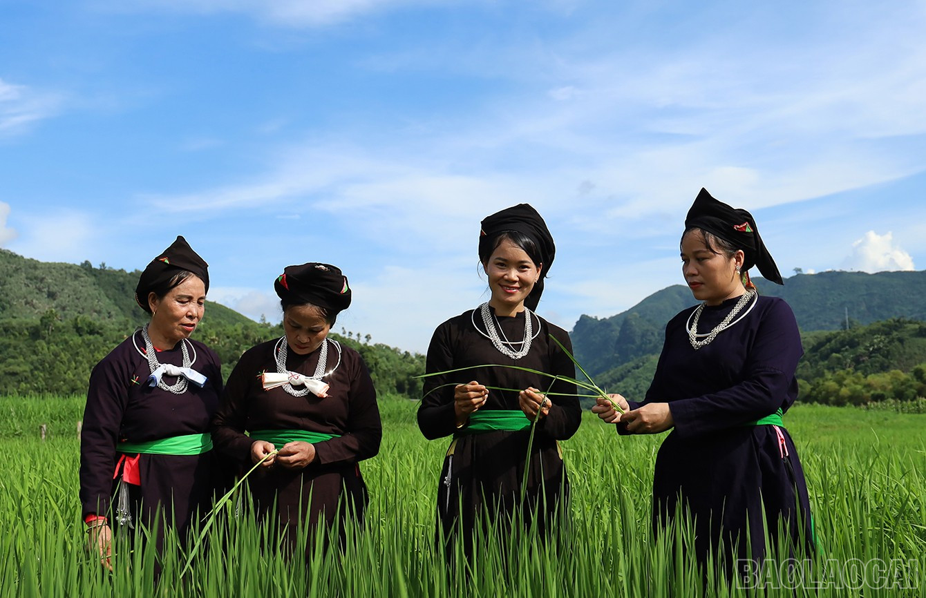 Fru Ban Thi Ngon (andre fra høyre) – personen som bidro til å bringe grønn ris fra Gia Ha vidt og bredt. baolaocai-br_img-9493.jpg