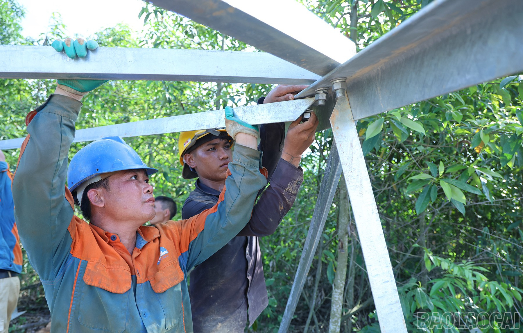 Tất cả đều quyết tâm, nỗ lực vượt khó, làm việc không ngơi nghỉ. baolaocai-br_img-0923.jpg