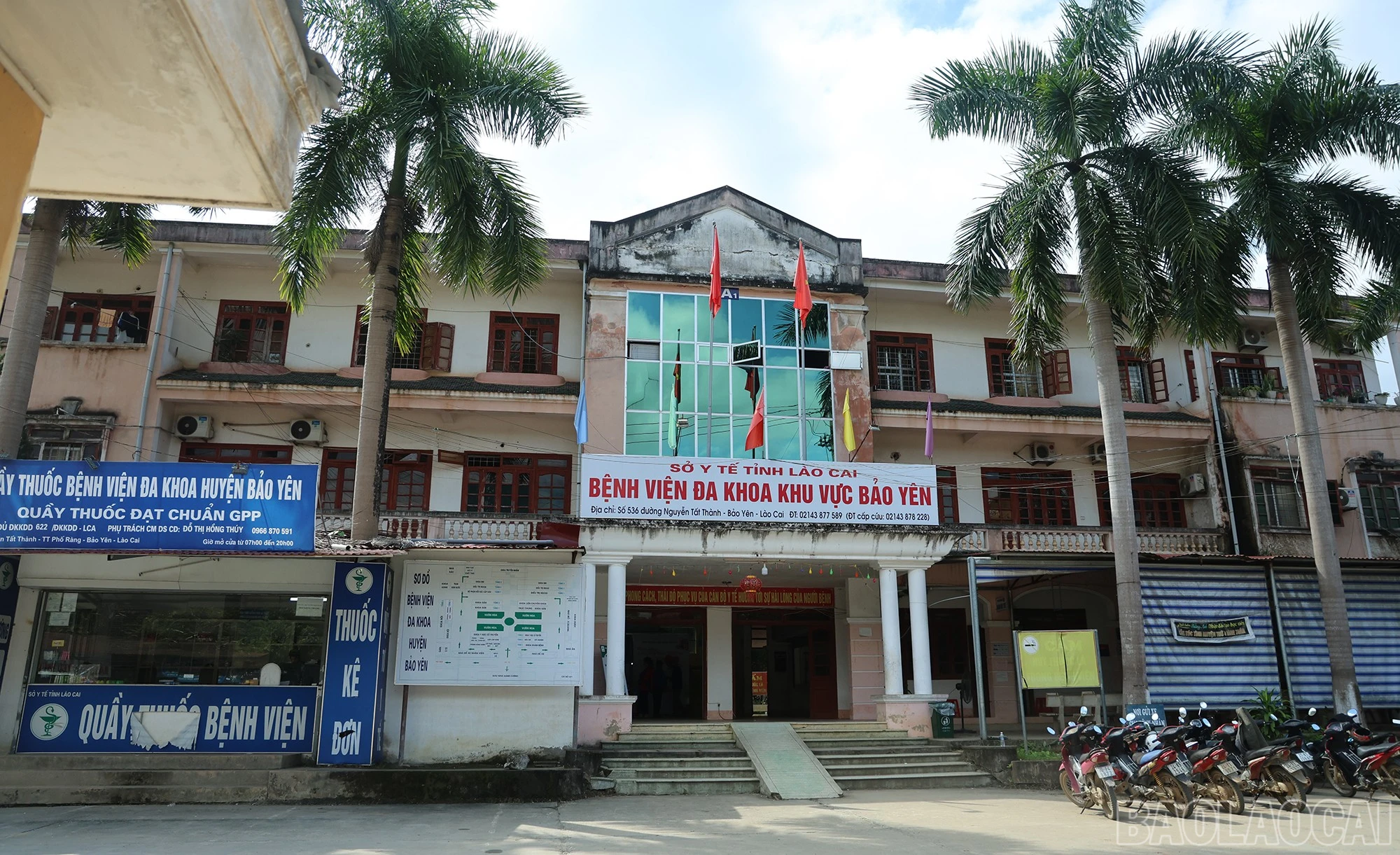 baolaocai-br_img-8966.jpg