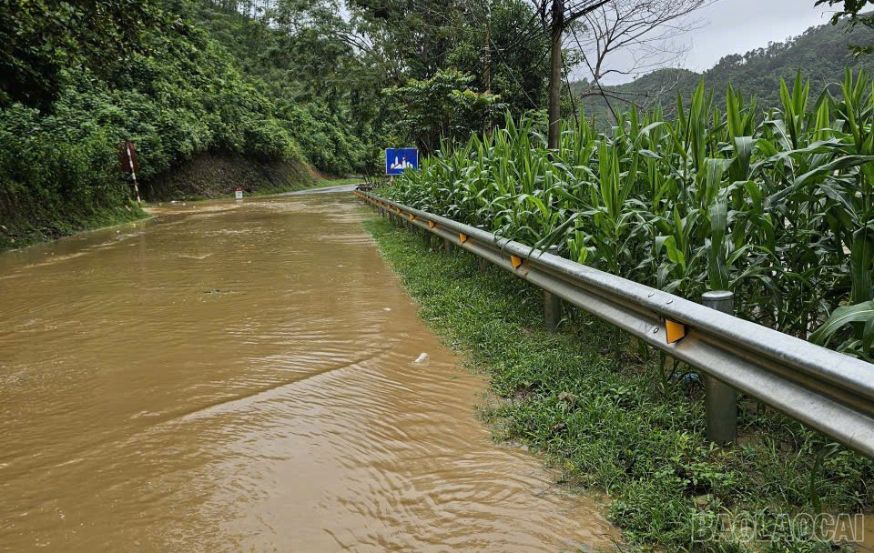 Nhiều tuyến đường bị ngập sâu.