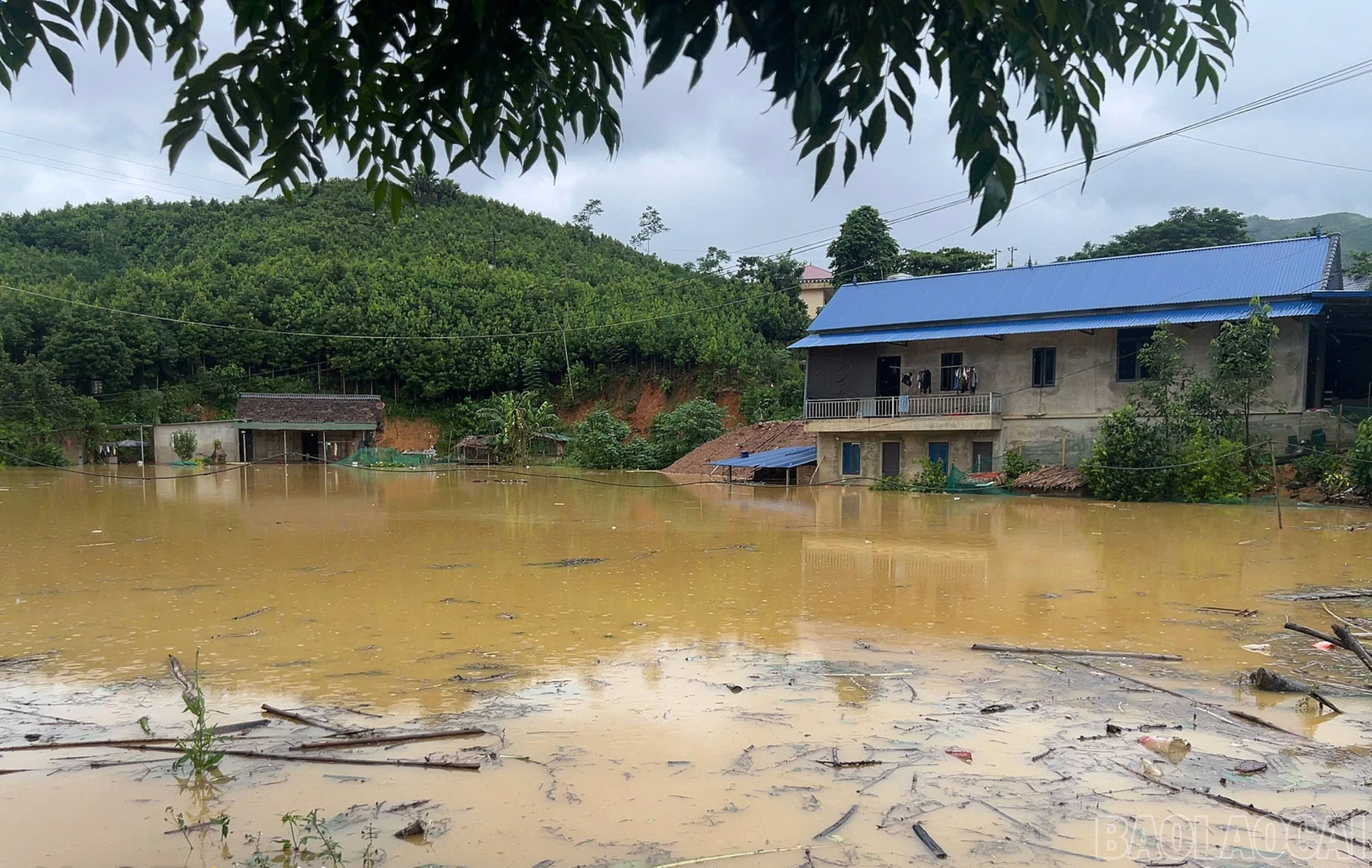 Mưa lũ gây ngập lụt trên diện rộng.