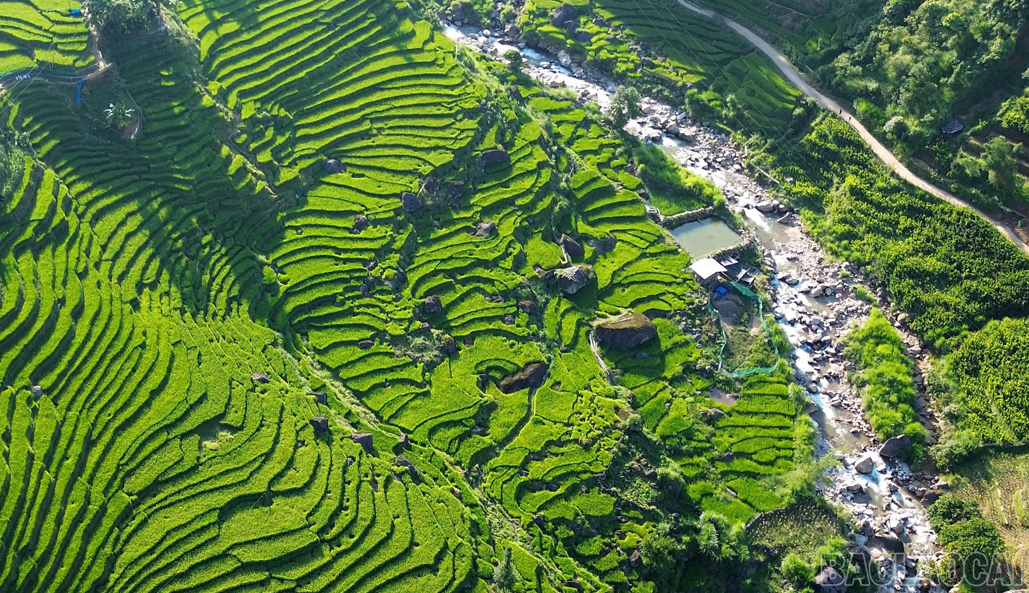 Dòng suối Ky Quan San lại trong mát như xưa. baolaocai-br_dji-0774mp400-00-29-09still001.jpg