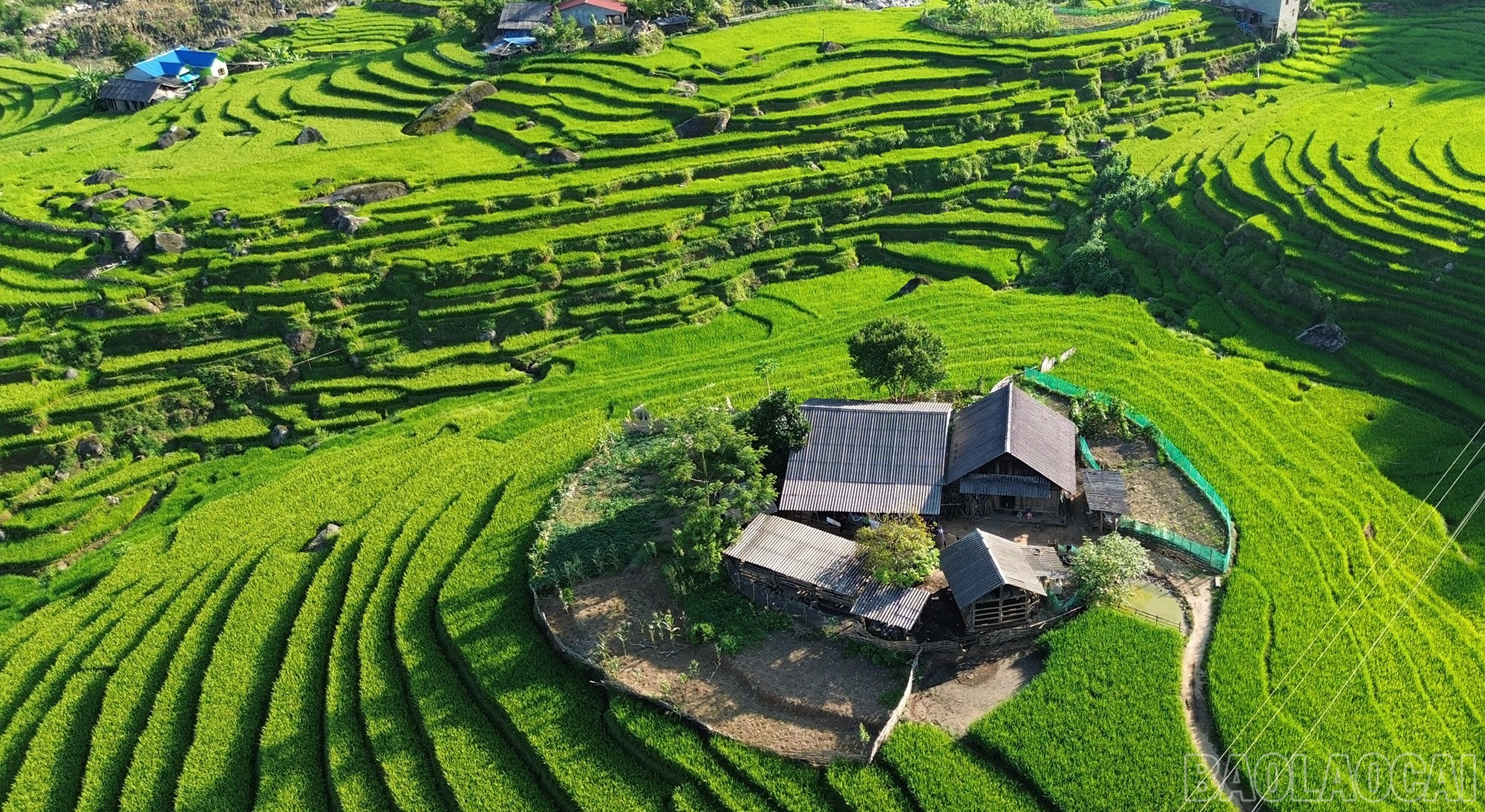 Cuộc sống của người dân thuận hòa với thiên nhiên. baolaocai-br_dji-0752.jpg