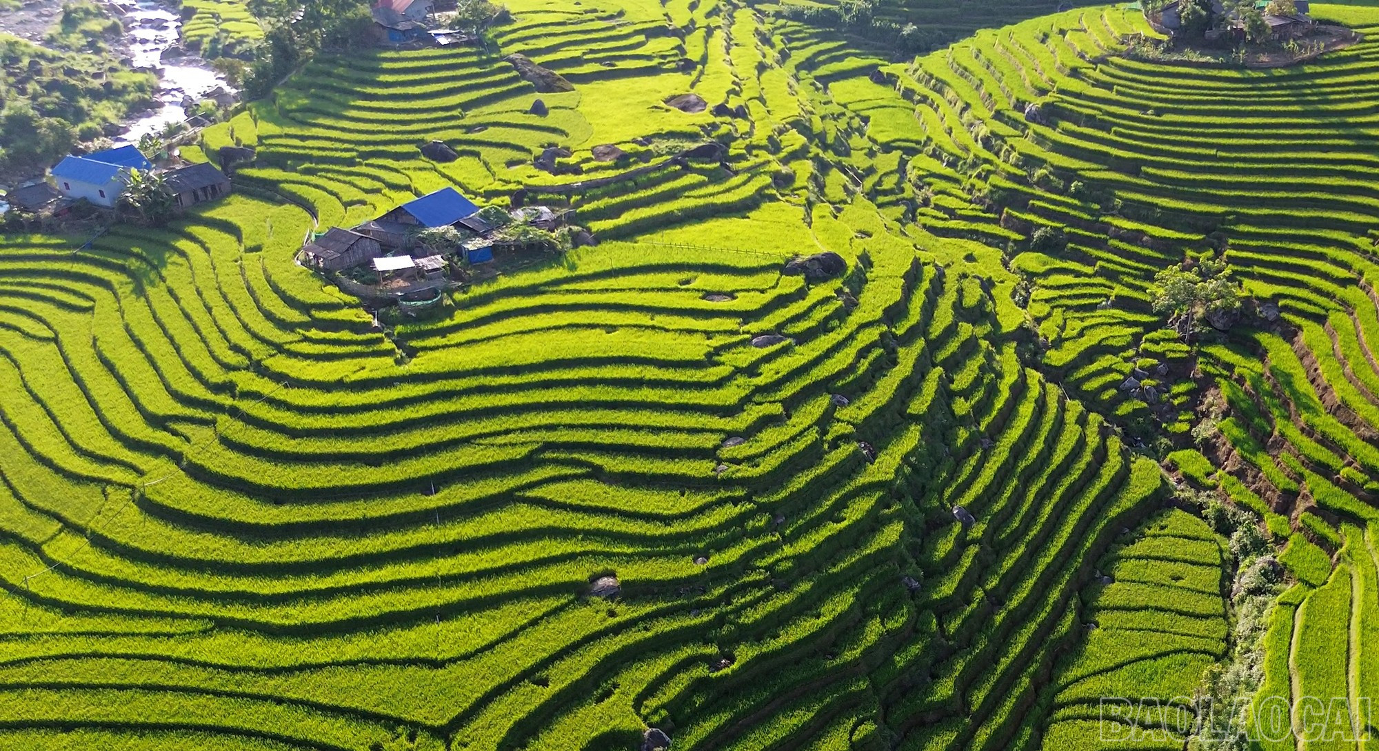 Bình yên đã trở lại dưới chân núi Ky Quan San. baolaocai-br_dji-0764mp400-00-06-19still002.jpg