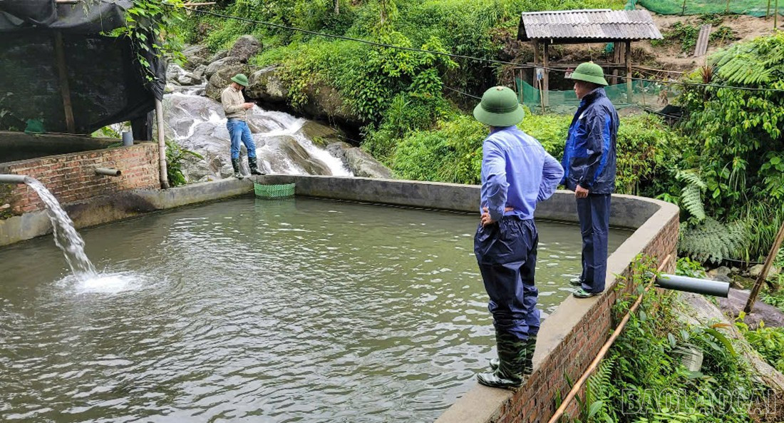 Lãnh đạo xã Mường Bo rà soát các trại cá nước lạnh có nguy cơ mất an toàn. baolaocai-br_ncs.jpg