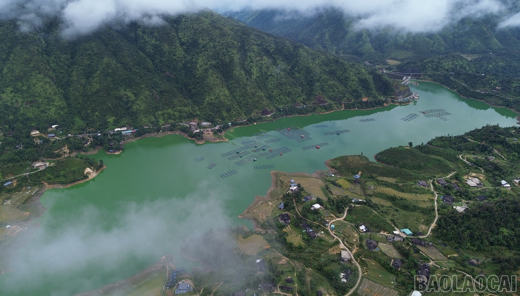 Người dân nơi đây hy vọng sản phẩm cá nước lạnh Sa Pa với chất lượng, giá trị dinh dưỡng nổi trội sẽ được quảng bá rộng rãi đến người tiêu dùng để bà con tiếp tục duy trì ổn định vùng nuôi cá trên hồ Séo Mý Tỷ. baolaocai-br_ch-6.jpg